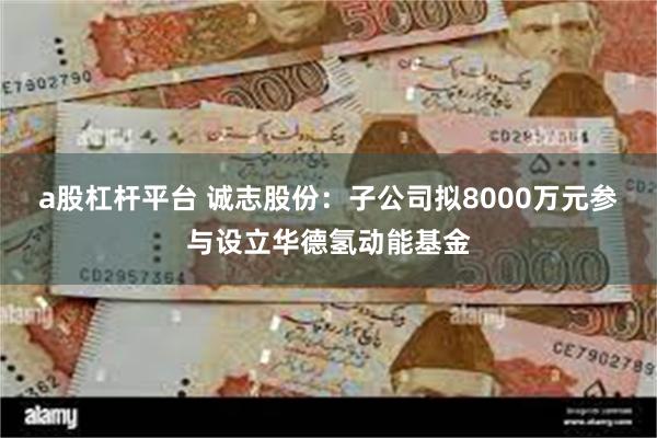 a股杠杆平台 诚志股份：子公司拟8000万元参与设立华德氢动能基金