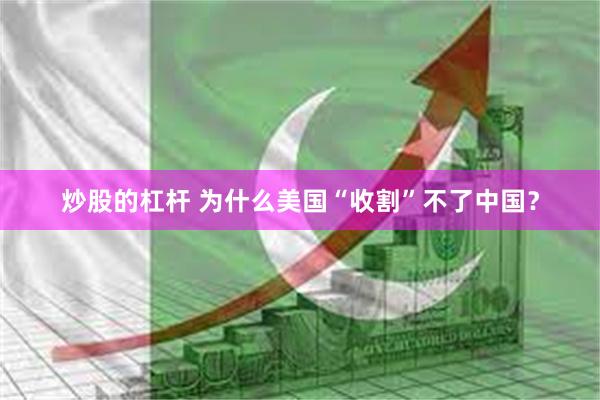 炒股的杠杆 为什么美国“收割”不了中国？