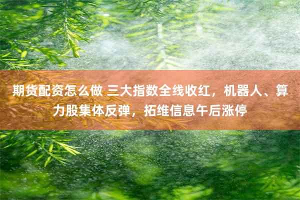 期货配资怎么做 三大指数全线收红，机器人、算力股集体反弹，拓维信息午后涨停