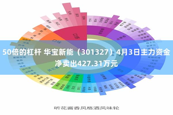 50倍的杠杆 华宝新能（301327）4月3日主力资金净卖出427.31万元