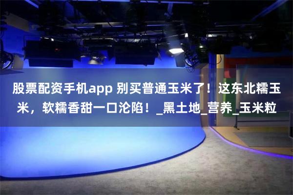 股票配资手机app 别买普通玉米了！这东北糯玉米，软糯香甜一口沦陷！_黑土地_营养_玉米粒