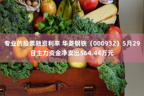 专业的股票融资利率 华菱钢铁（000932）5月29日主力资金净卖出564.44万元