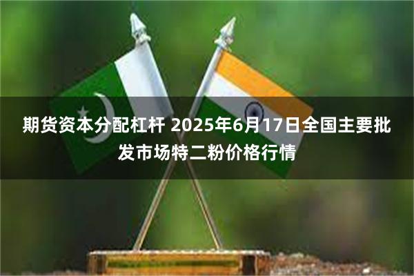 期货资本分配杠杆 2025年6月17日全国主要批发市场特二粉价格行情
