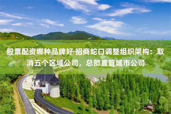 股票配资哪种品牌好 招商蛇口调整组织架构：取消五个区域公司，总部直管城市公司