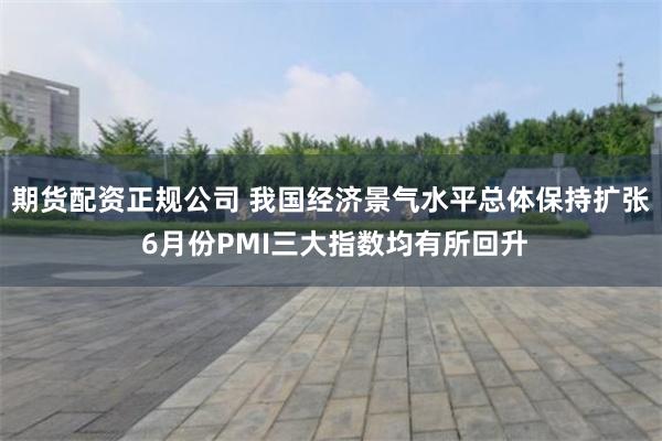 期货配资正规公司 我国经济景气水平总体保持扩张 6月份PMI三大指数均有所回升