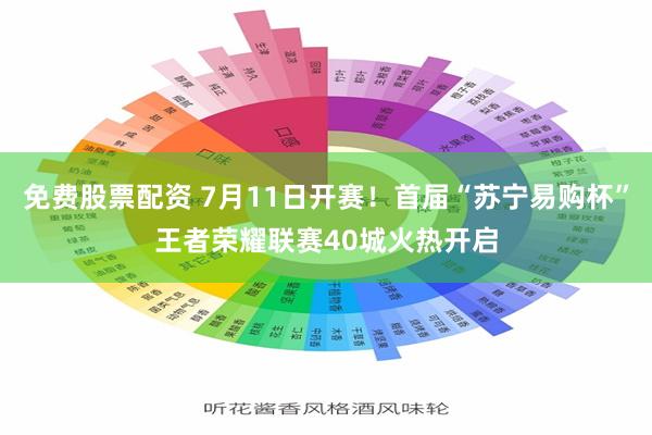 免费股票配资 7月11日开赛！首届“苏宁易购杯”王者荣耀联赛40城火热开启