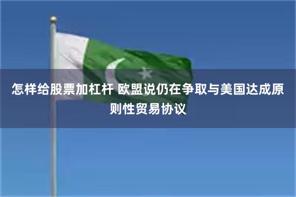 怎样给股票加杠杆 欧盟说仍在争取与美国达成原则性贸易协议