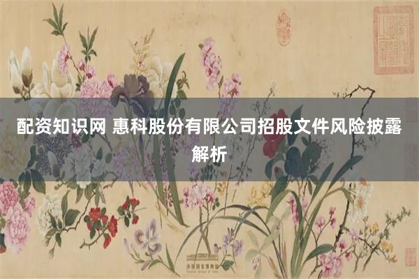 配资知识网 惠科股份有限公司招股文件风险披露解析