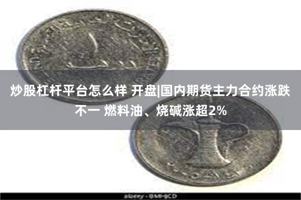 炒股杠杆平台怎么样 开盘|国内期货主力合约涨跌不一 燃料油、烧碱涨超2%